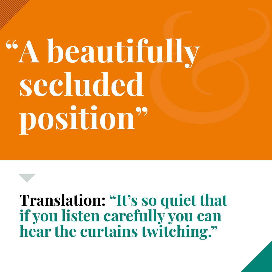 Curtain twitcher 1080x1080