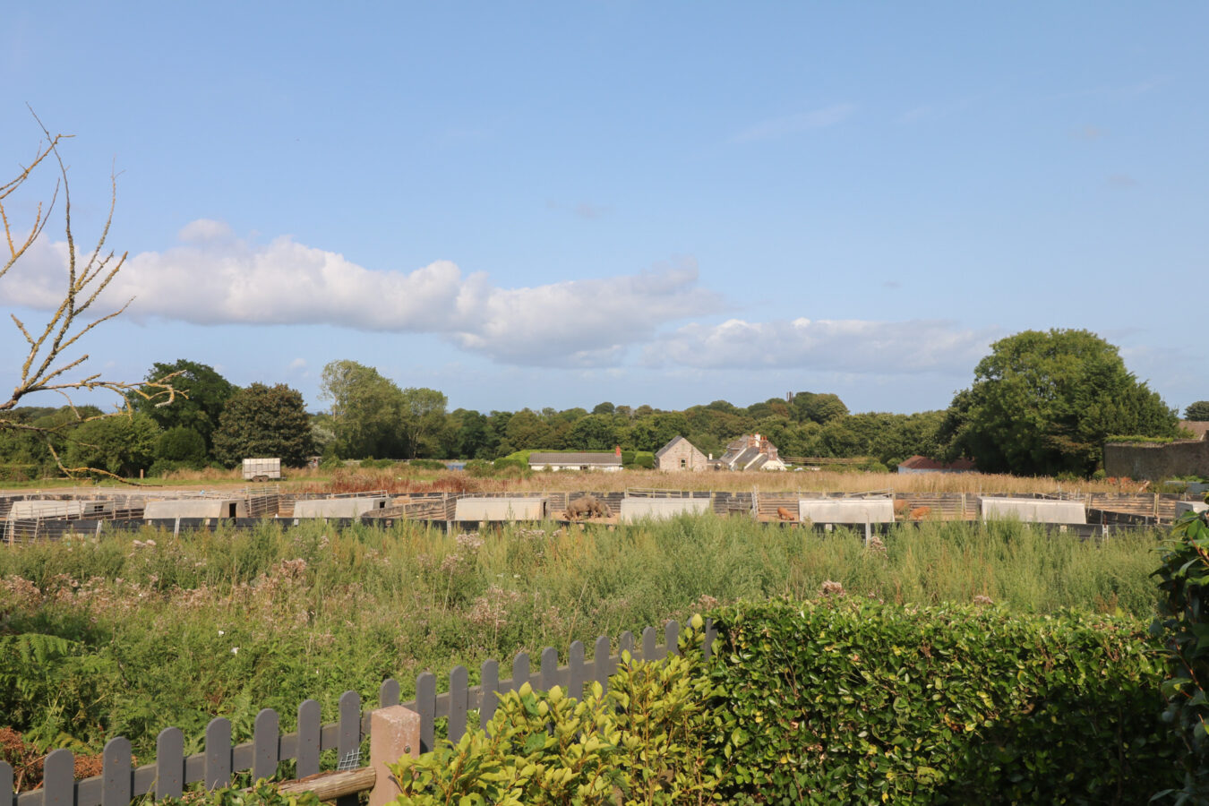 La Grande Route de Faldouet