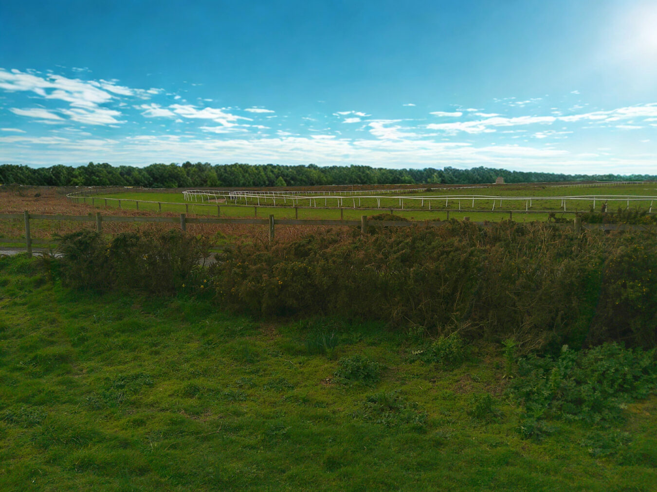 Le Chemin Des Landes