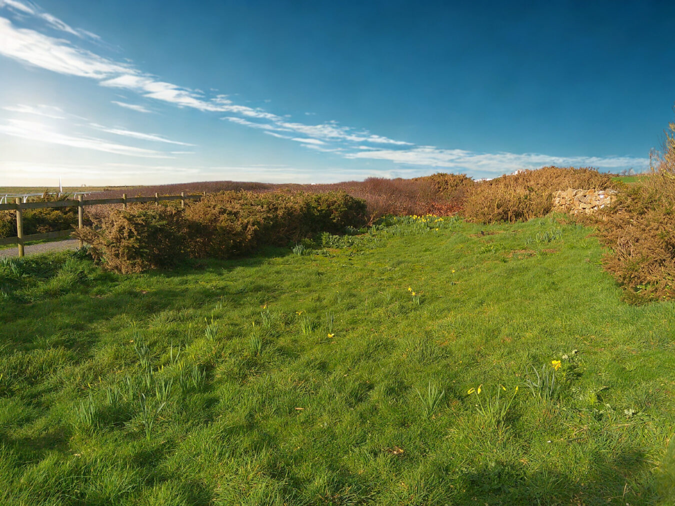 Le Chemin Des Landes
