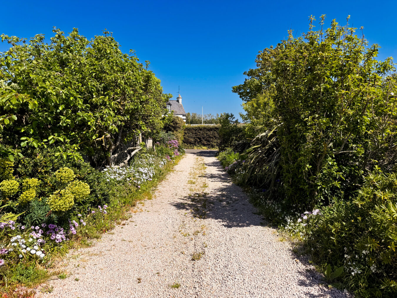 La Grande Route de la Cote