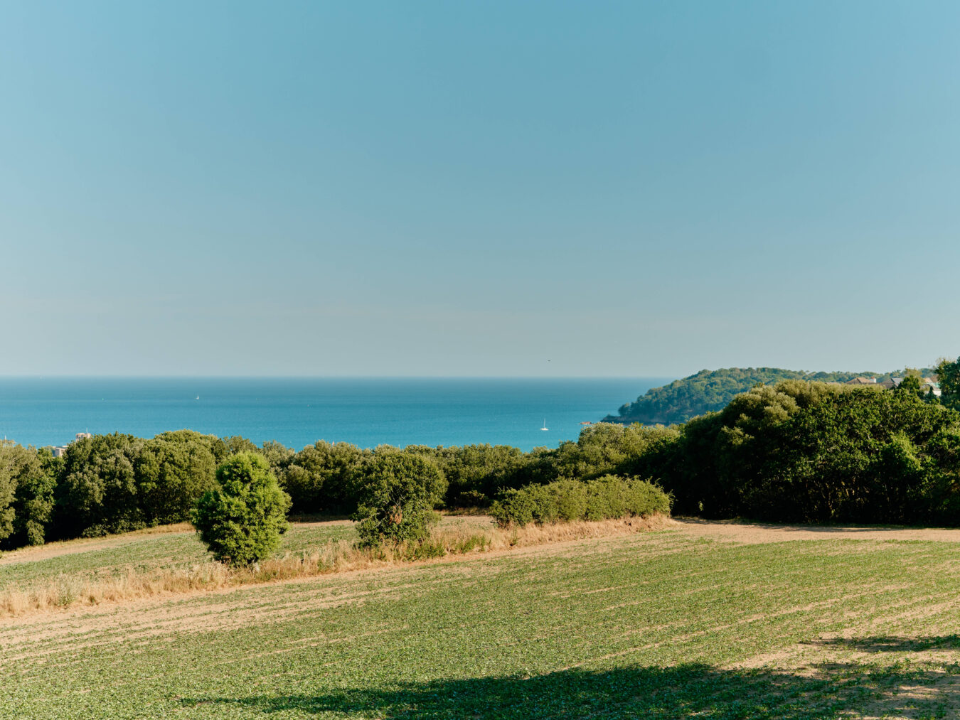 Le Mont Du Coin
