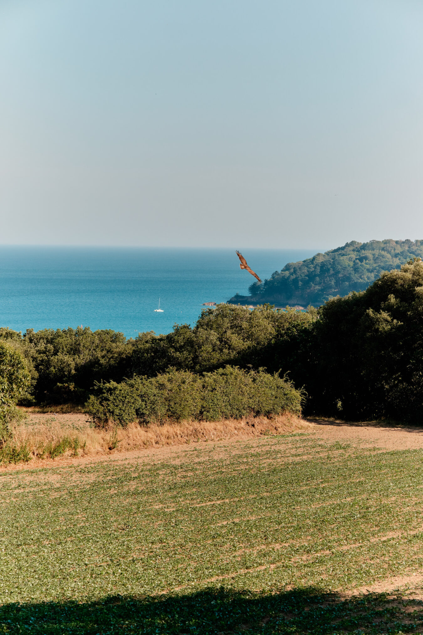 Le Mont Du Coin